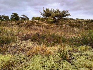 Ferienhaus Fanø  23