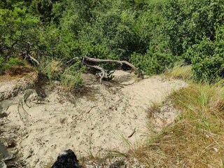 Holiday house Fanø  41