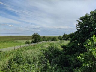 Vakantiehuis Fanø  31