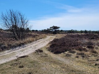 Vakantiehuis Fanø  35