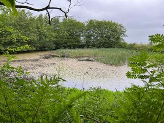 Vakantiehuis Fanø  36