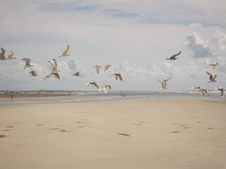 Casa de vacaciones Fanø  38