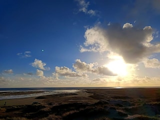 Ferienhaus Fanø  7
