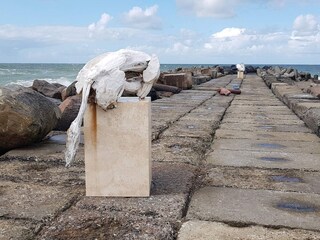 Maison de vacances Agger  37