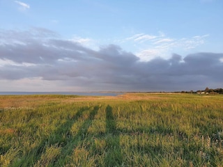 Ferienhaus Ørsted  40