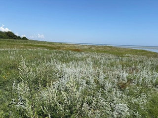 Holiday house Ørsted  46