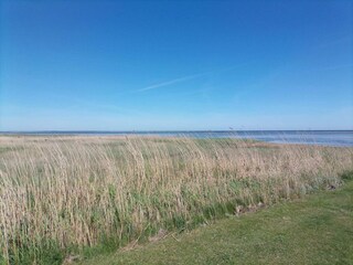 Ferienhaus Ørsted  23