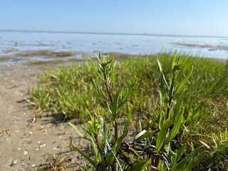 Maison de vacances Ørsted  45