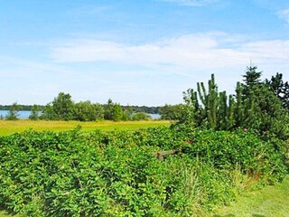 Vakantiehuis Ansager  22