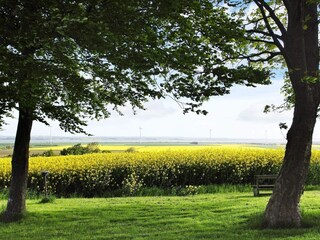 Maison de vacances Løgstør  23