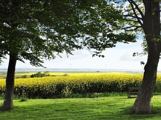 Vakantiehuis Løgstør  18