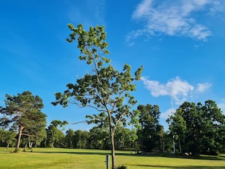 Holiday house Als  34