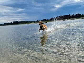 Maison de vacances Als  15