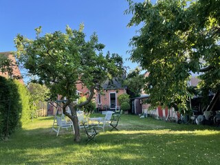 Garten - Haus von hinten