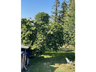 Garten aus dem Dachfenster