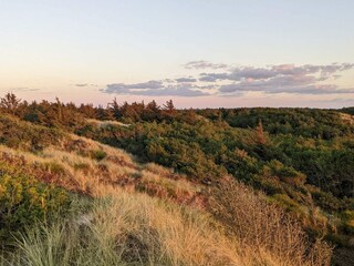 Casa per le vacanze Vejers Strand  23