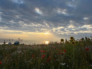 Holiday house Frørup  17