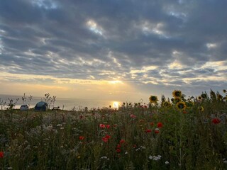 Maison de vacances Frørup  19