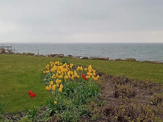 Vakantiehuis Frørup  18