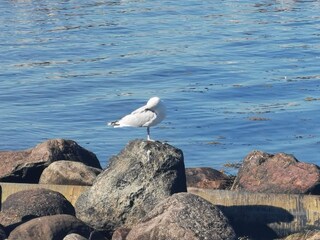 Ferienhaus Frørup  26