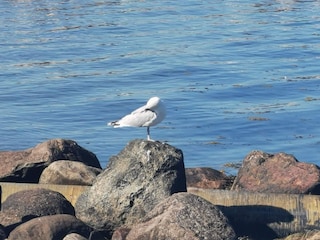 Vakantiehuis Frørup  24