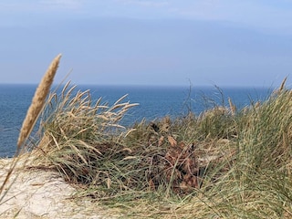 Ferienhaus Klegod  33
