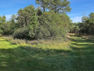 Apartamento Havneby  43