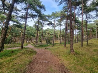 Appartamento Havneby  37