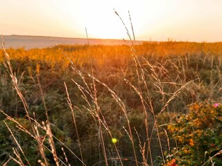 Apartment Havneby  28