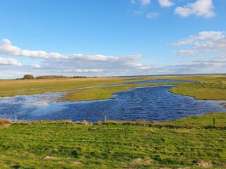 Appartement Havneby  34