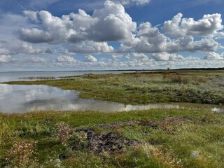 Ferienhaus Ørsted  4