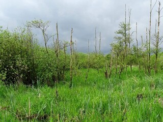 Ferienhaus Truust  29