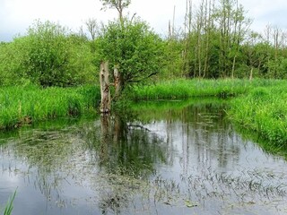 Ferienhaus Truust  31