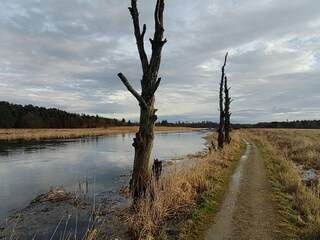 Vakantiehuis Truust  37