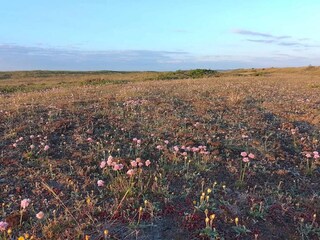 Ferienhaus Thorup Strand  20