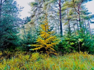 Casa per le vacanze Thorup Strand  20