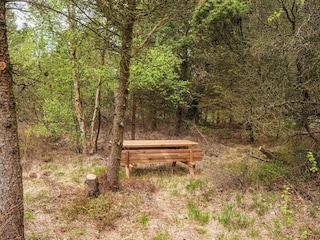 Ferienhaus Thorup Strand  43