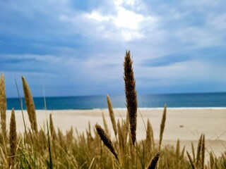 Ferienhaus Harboøre  7