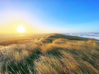 Vakantiehuis Harboøre  20
