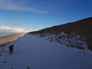 Vakantiehuis Harboøre  6