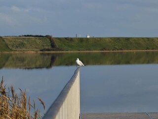 Casa per le vacanze Harboøre  11