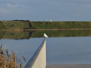 Vakantiehuis Harboøre  12