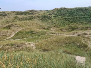 Ferienhaus Skagen  9