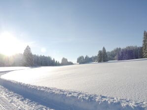 Alpenstern Finy Ferienwohnung (M) - Oy-Mittelberg - image1