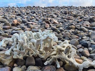 Casa per le vacanze Helligsø  22