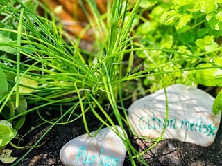 Maison de vacances Marielyst Enregistrement extérieur 3