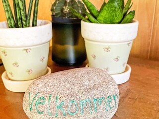 Vakantiehuis Marielyst  12