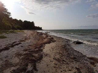 Maison de vacances Veddinge  20