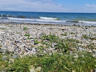 Ferienhaus Flovt Strand  33