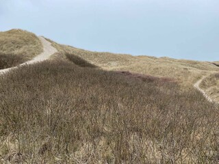 Maison de vacances Vejers Strand  29